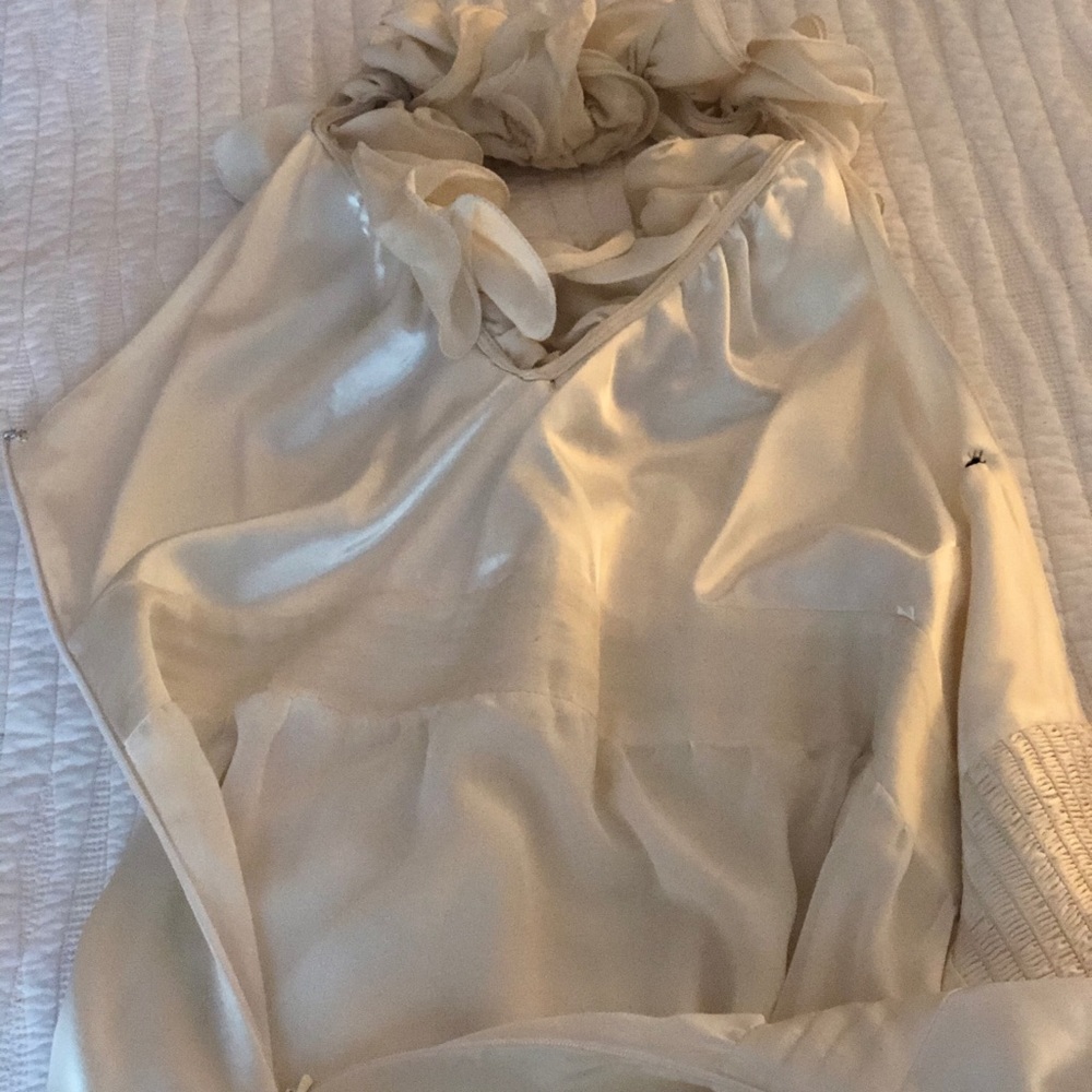 Bebe dress with custom slip. - Picture 3 of 5